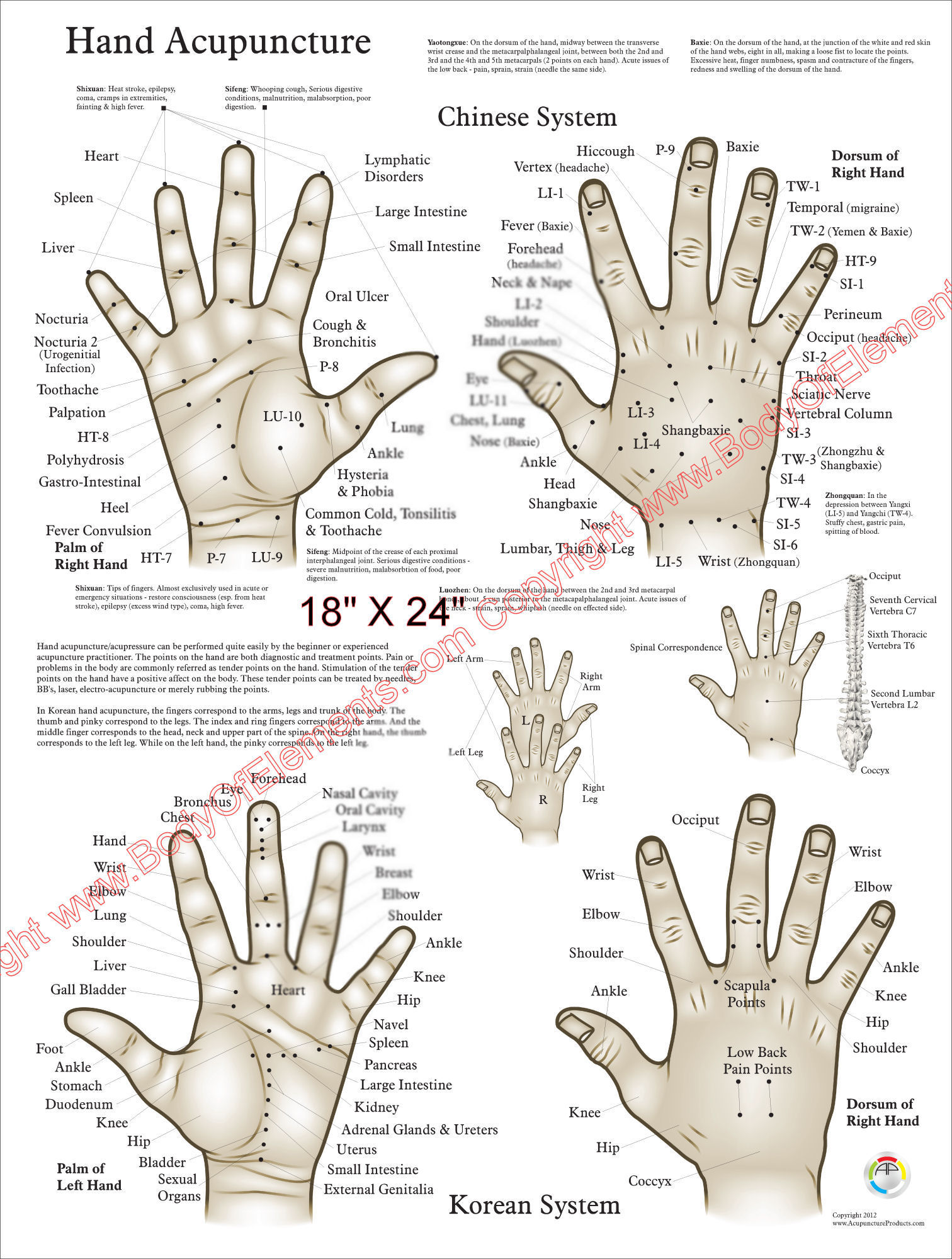 Acupuncture Wall Chart