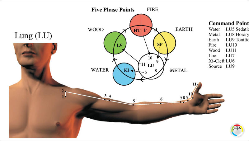 Acupuncture Meridian Points