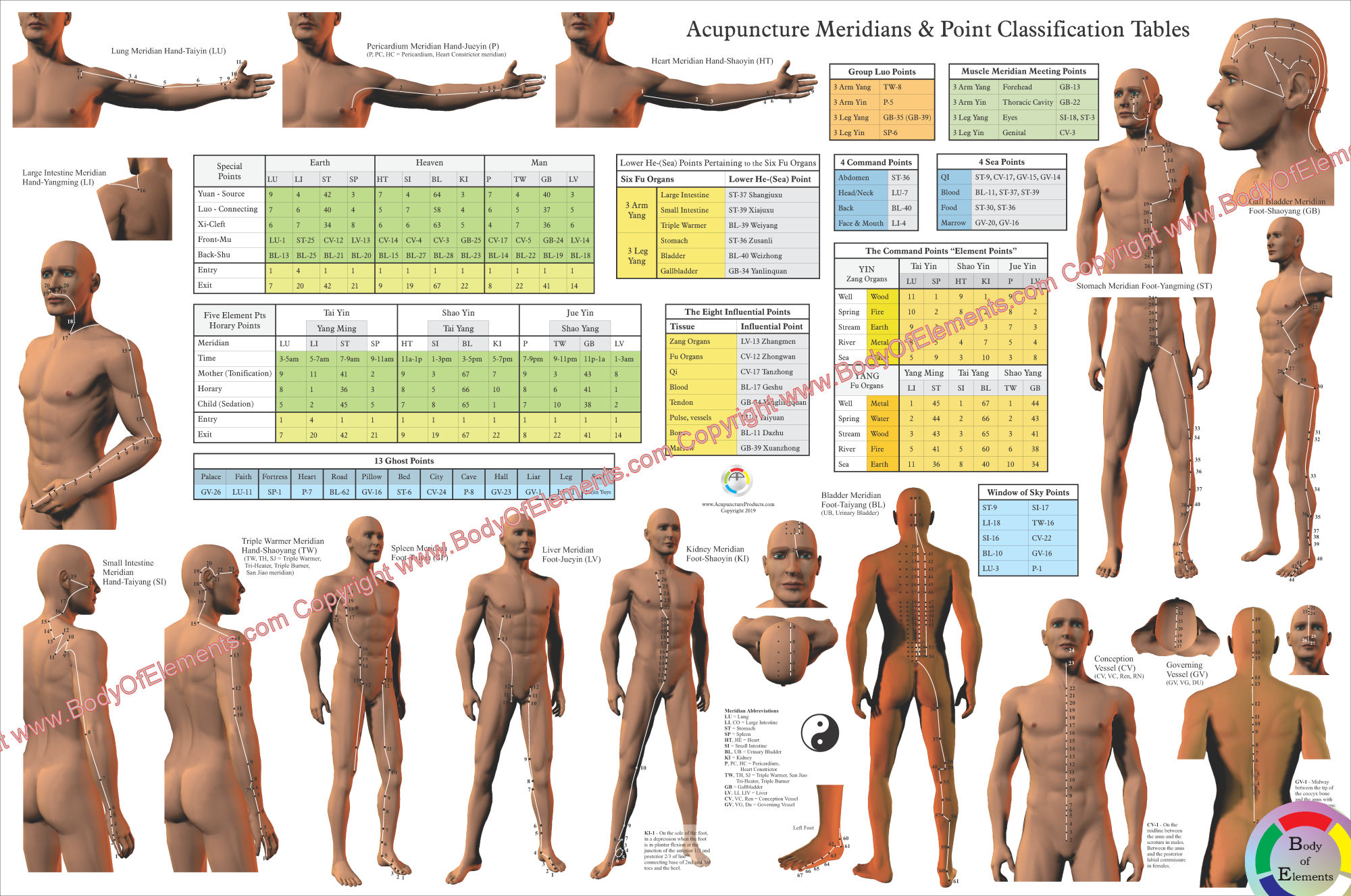Acupuncture Meridian Points and Classifications