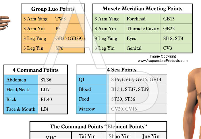 Acupuncture Meridian Points and Classifications