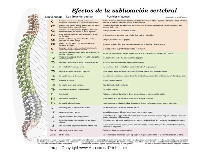 Effects of Spinal Subluxation