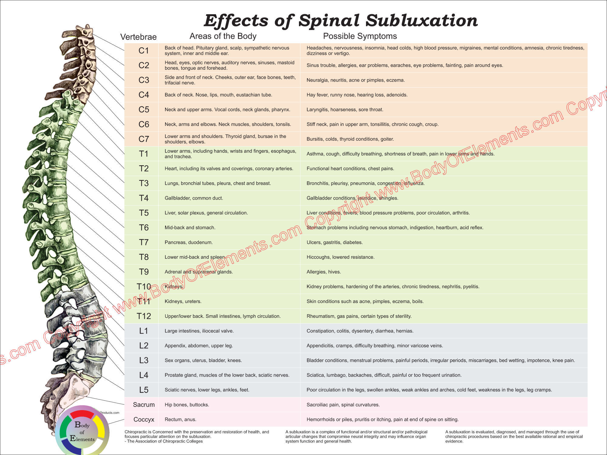 Effects of Spinal Subluxation Poster