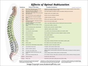 Chiropractic Nerve Chart Poster