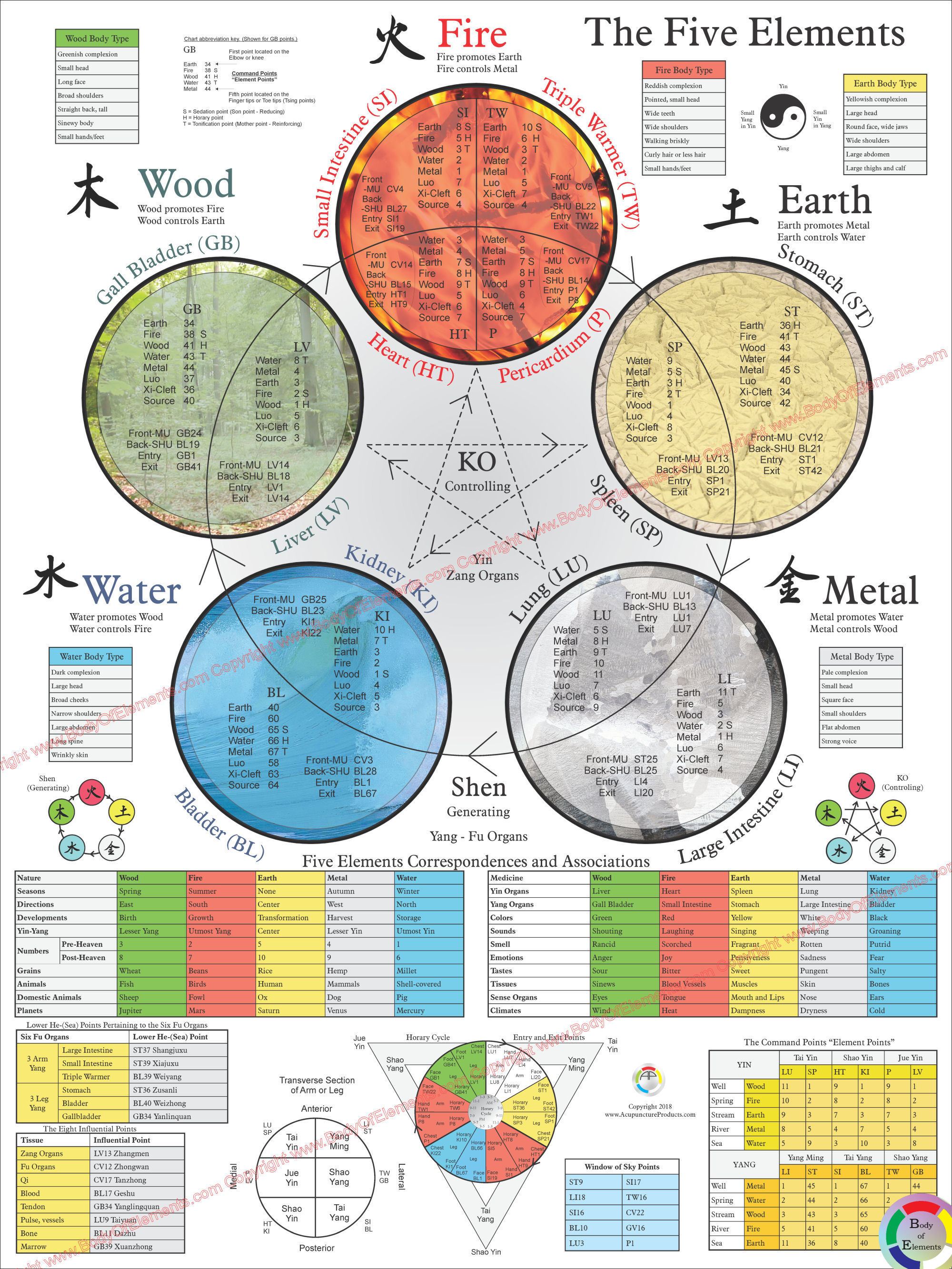 5 Element Acupuncture Points Chart