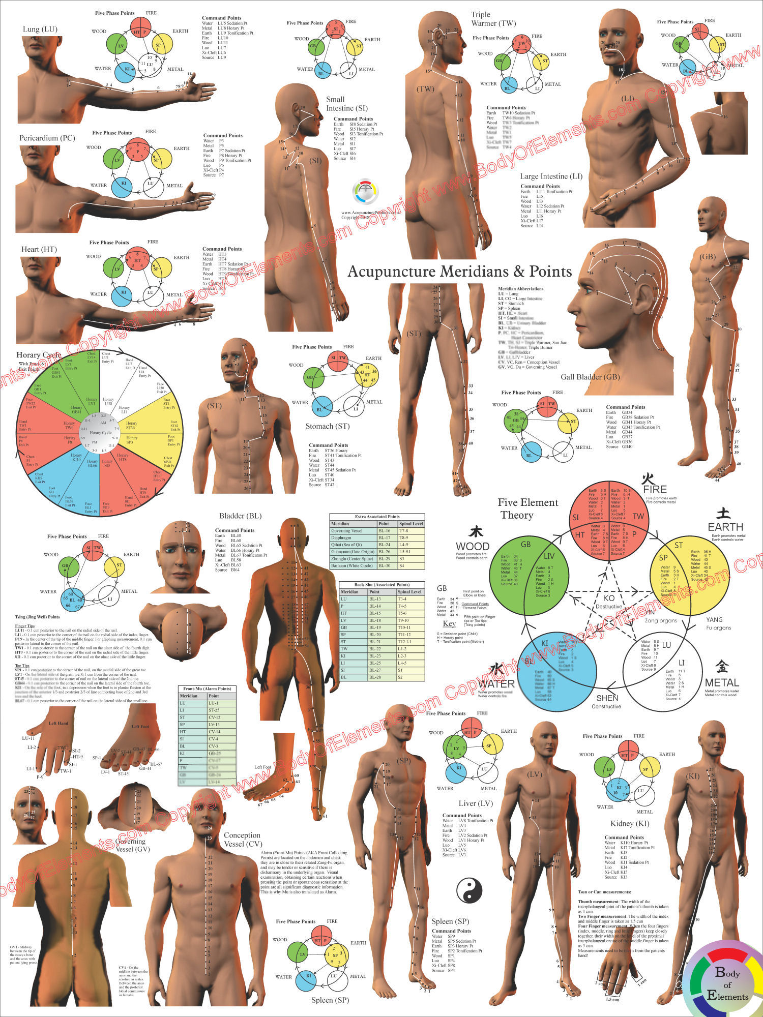 Acupuncture Meridian Points