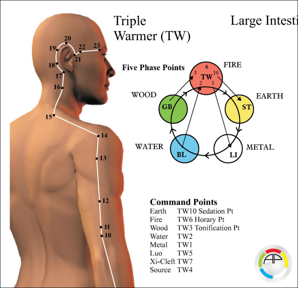 Triple Heater Meridian Chart