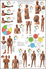 Acupuncture Posters