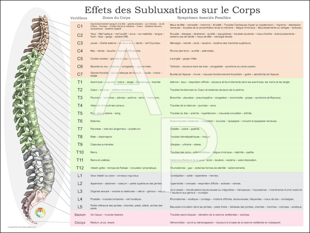 Effects of Spinal Subluxation