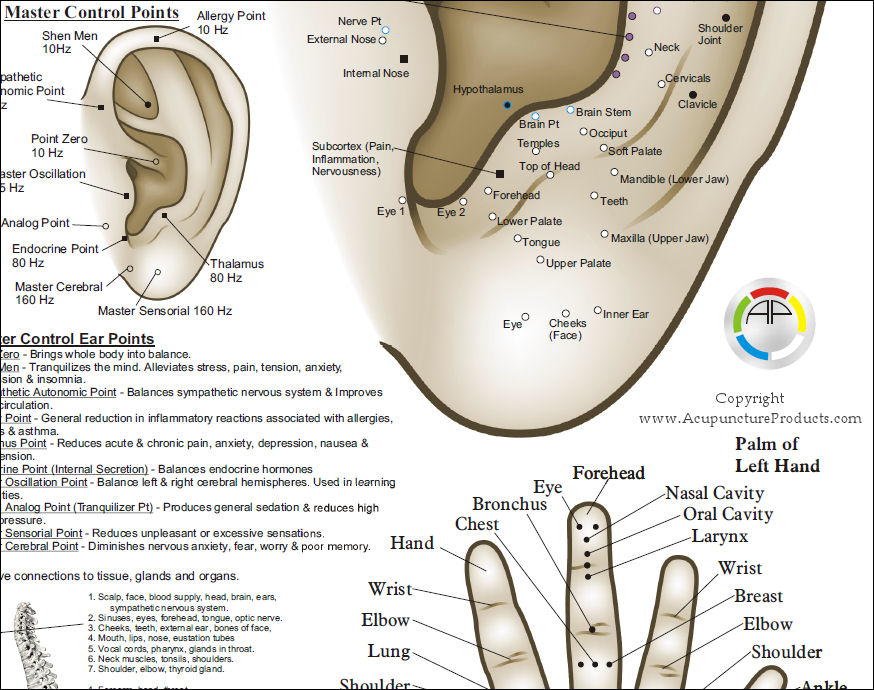 face acupressure points chart