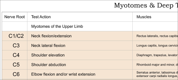 Dermatome Chart