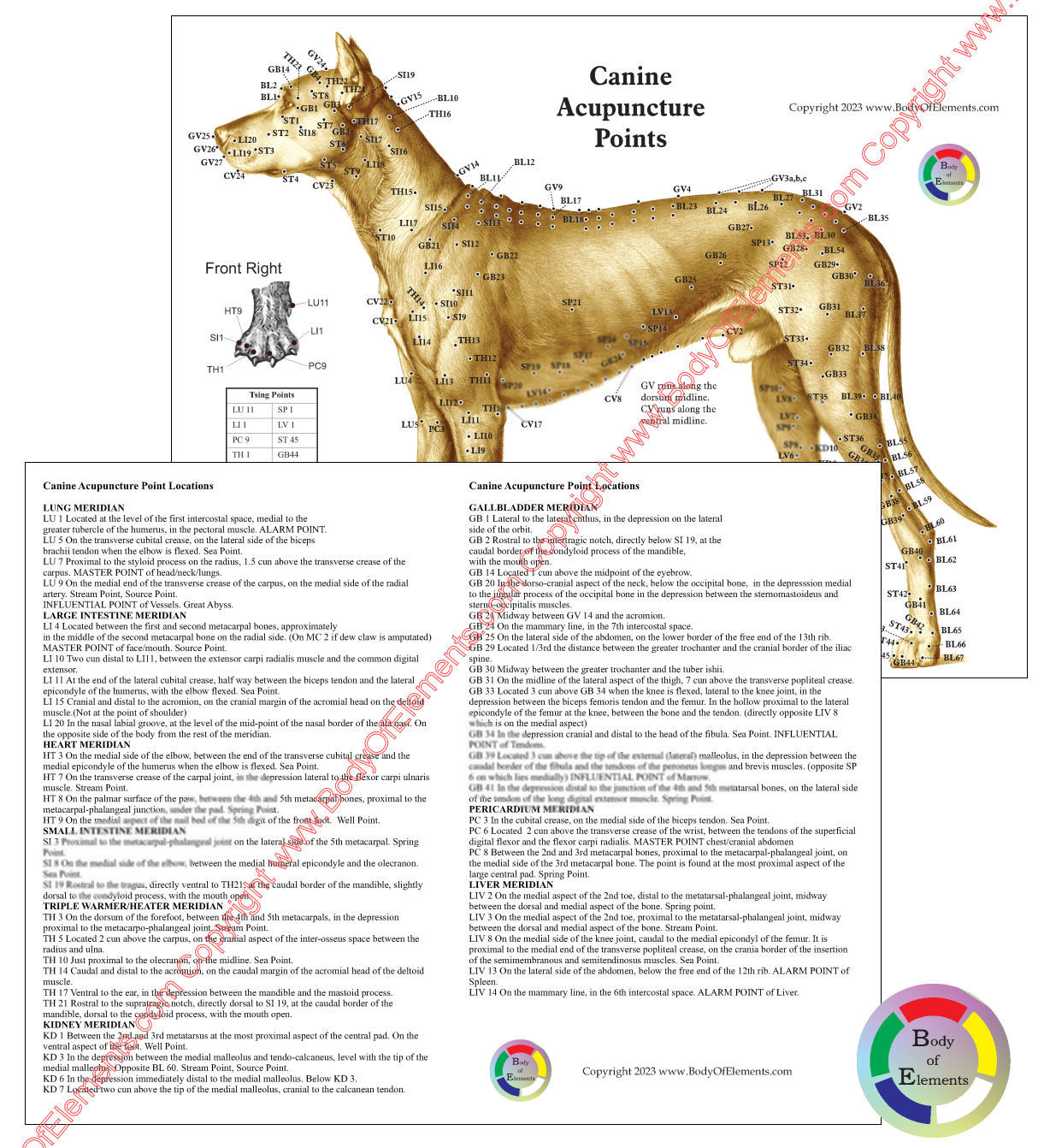 Dog Acupuncture Chart