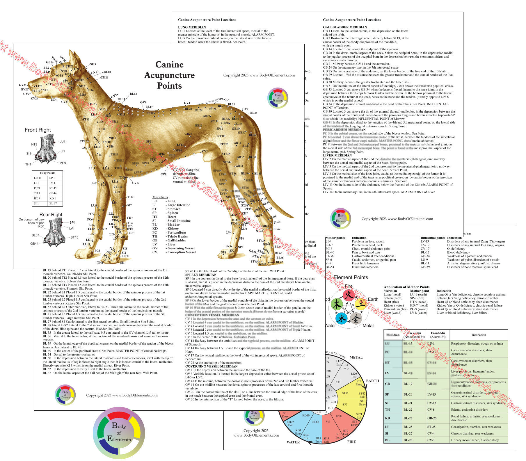 Dog Acupuncture Chart